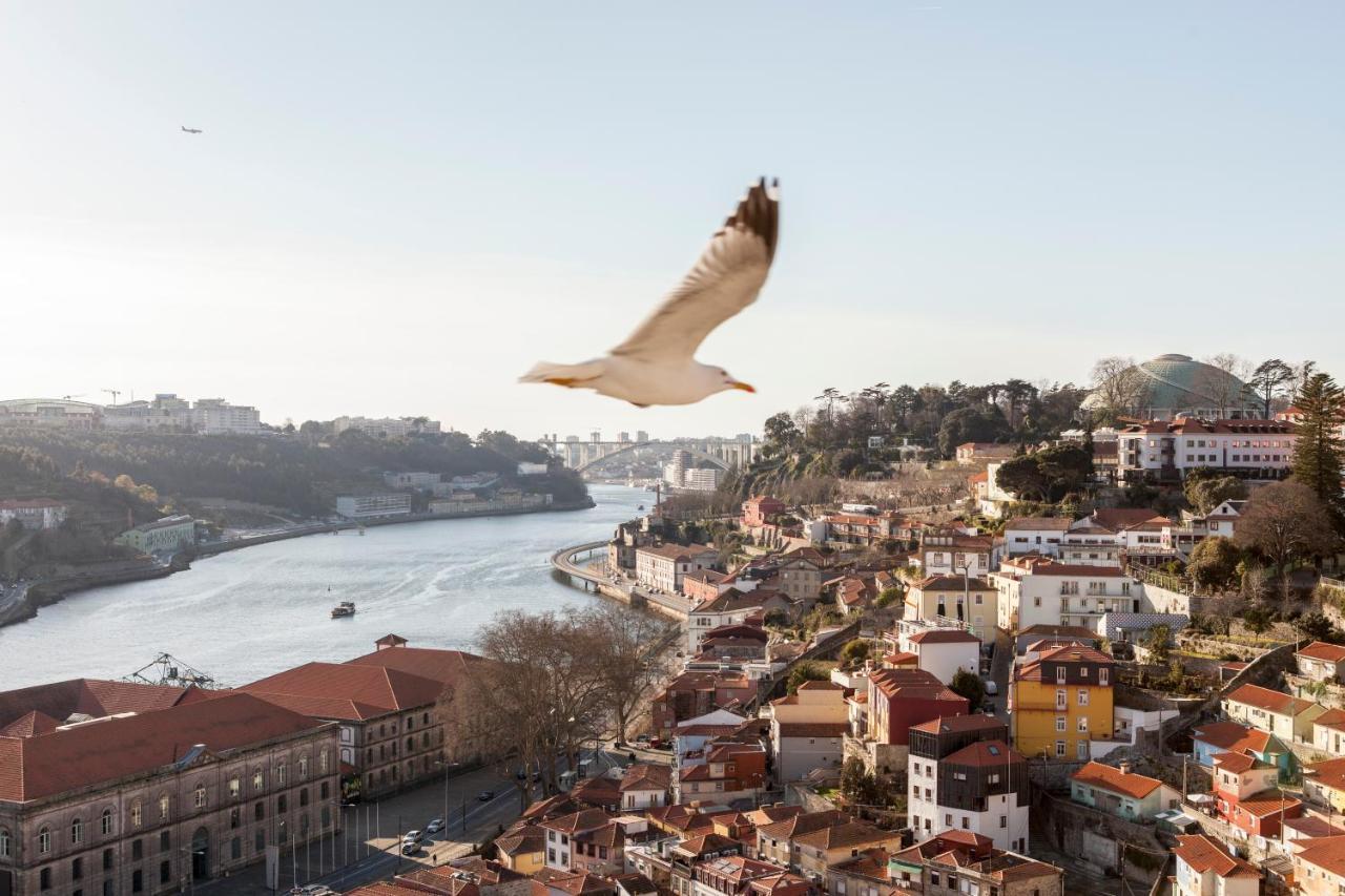 Citybreak-Apartments Douro View OOporto Exteriör bild